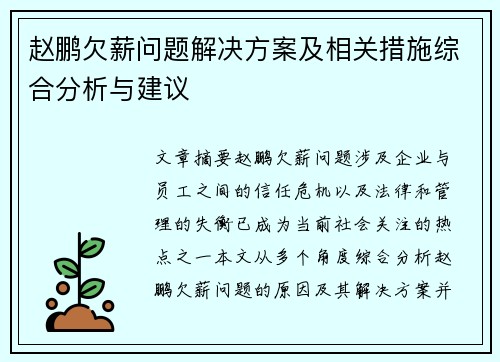 赵鹏欠薪问题解决方案及相关措施综合分析与建议