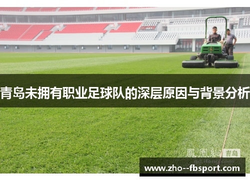 青岛未拥有职业足球队的深层原因与背景分析